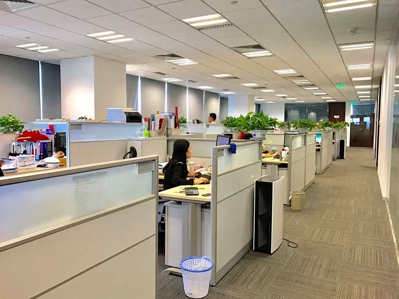 Office environment 