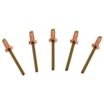 Brass Pop Rivets