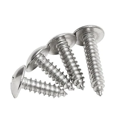 Stainless Steel Self Tapping Screws